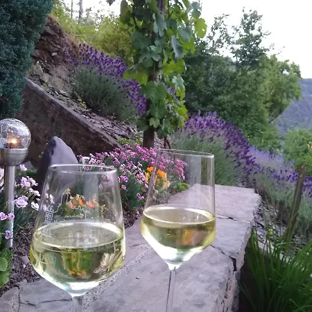 Ferienwohnung Lavendel Cochem Esterno foto