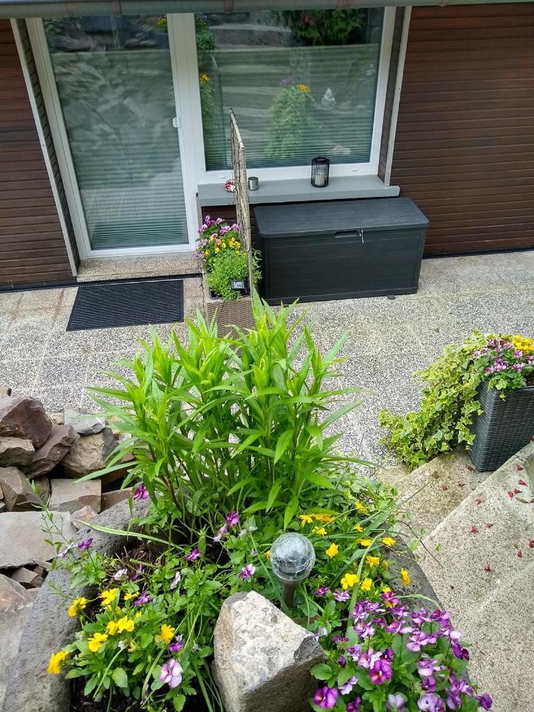 Apartment Lavendel Cochem
